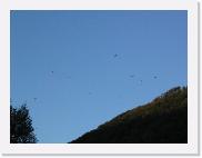 122_2261 * 2592 x 1944 * (1.7MB)