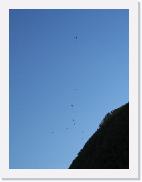122_2282 * 1944 x 2592 * (1.56MB)