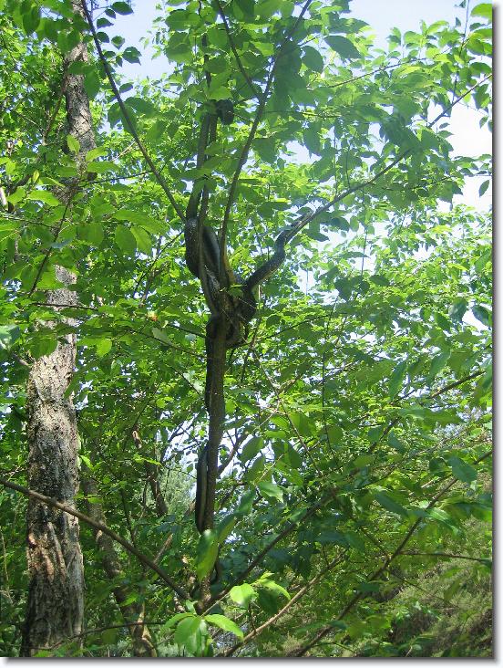 Next slide